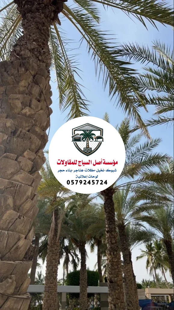 زراعة نخيل في السعودية