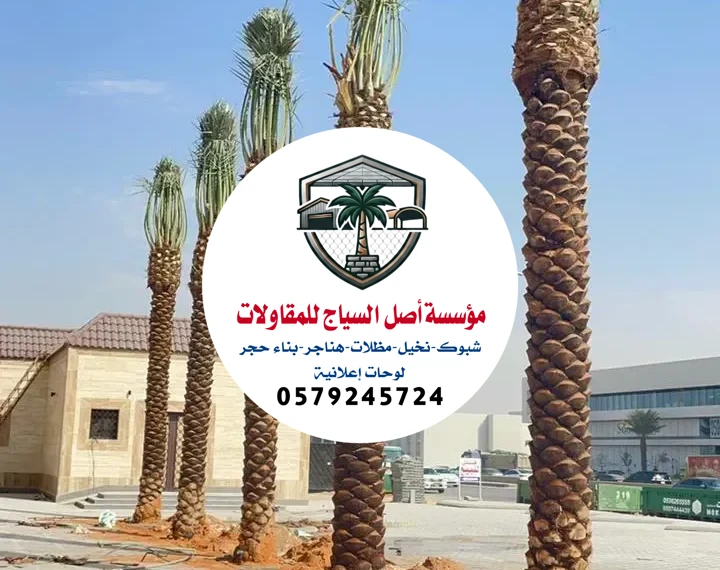 مقاول زراعة النخيل في الرياض