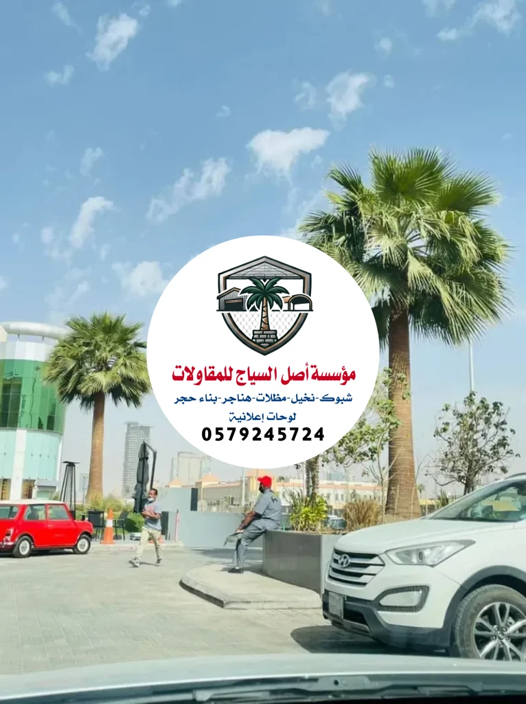 زراعة نخيل في السعودية