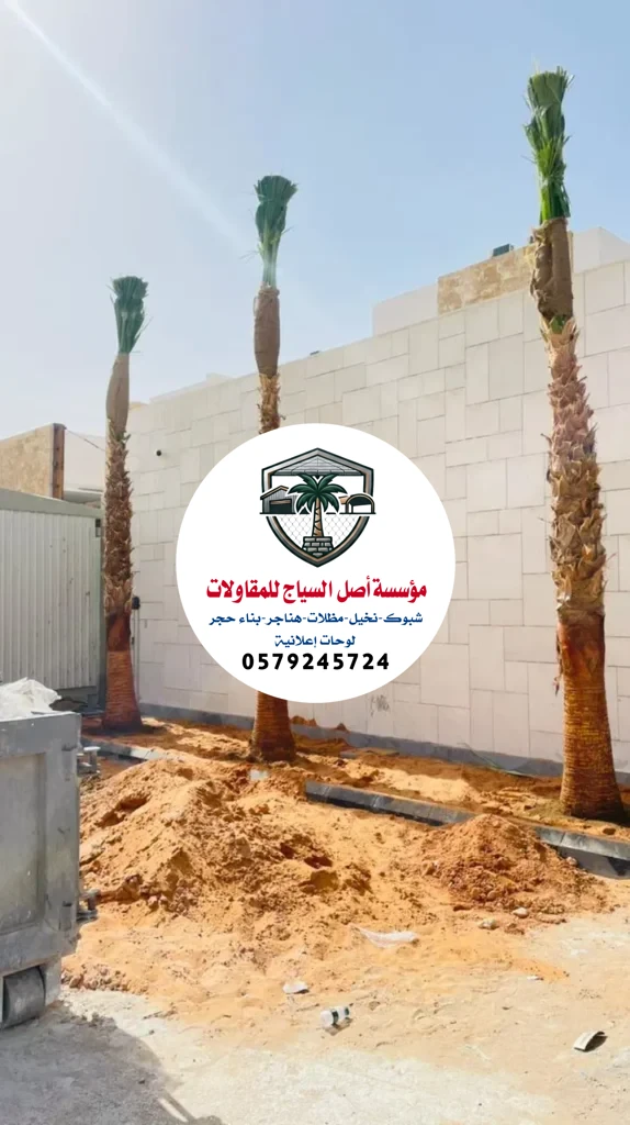 زراعة نخيل في السعودية