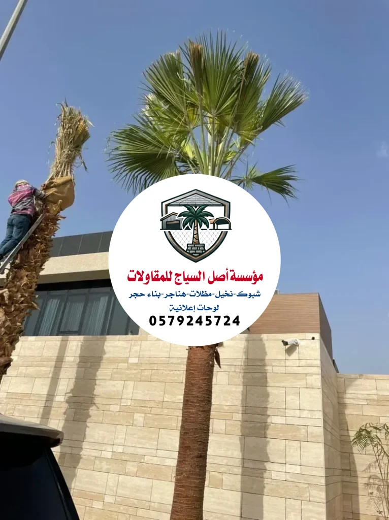 زراعة نخيل في السعودية