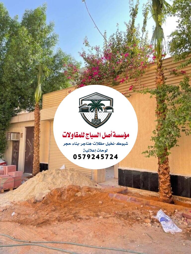 زراعة نخيل في السعودية