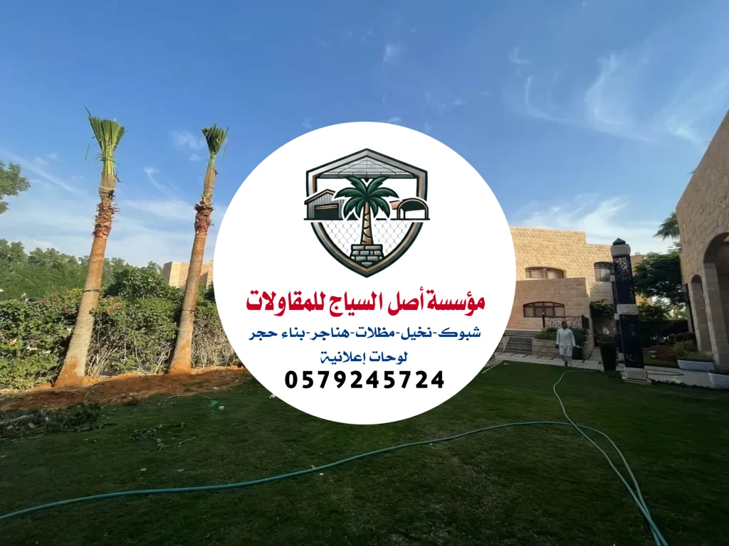 زراعة نخيل في السعودية