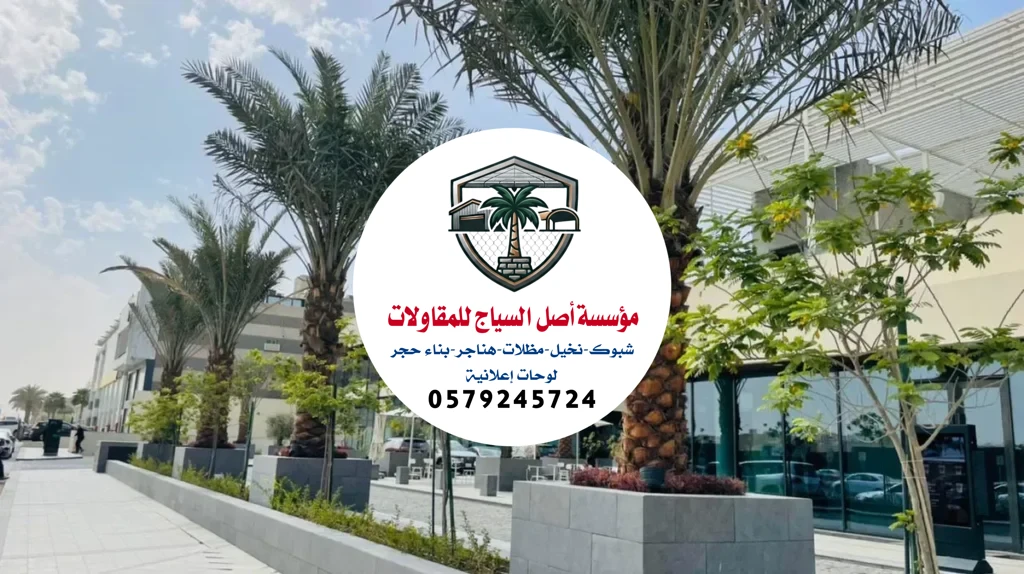 زراعة نخيل في السعودية