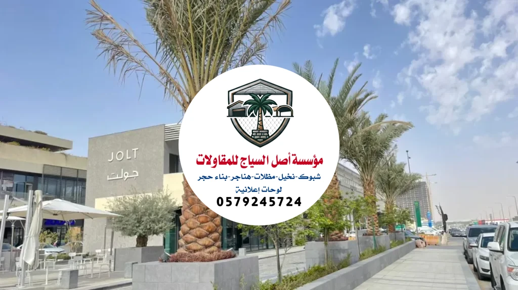زراعة نخيل في السعودية