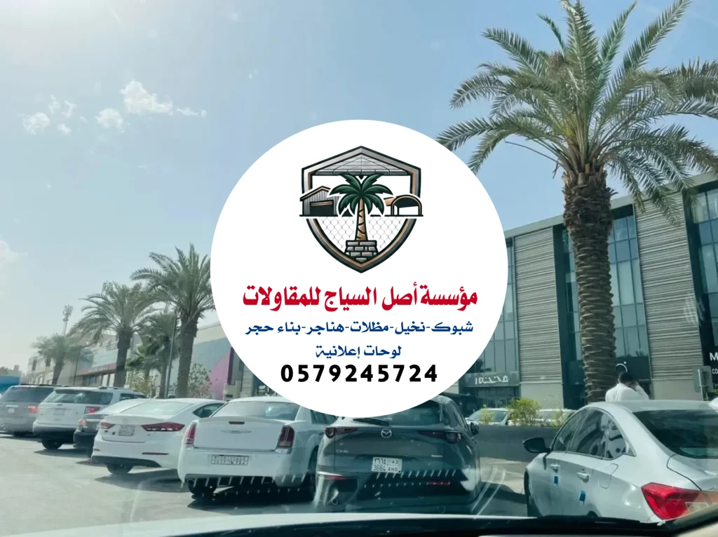 زراعة نخيل في السعودية