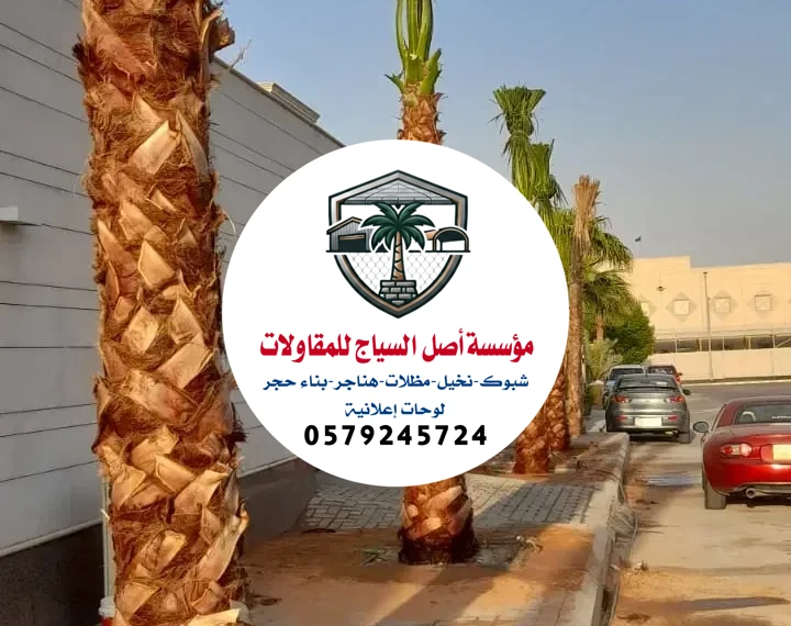 زرع النخيل في الرياض