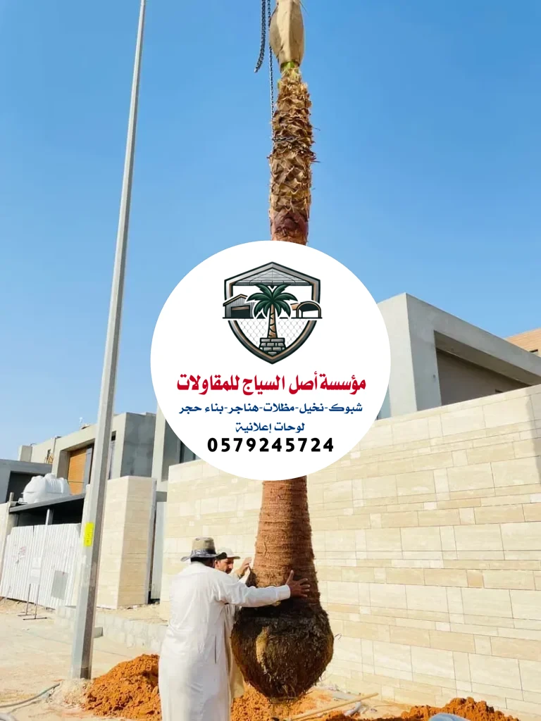 زراعة نخيل في السعودية