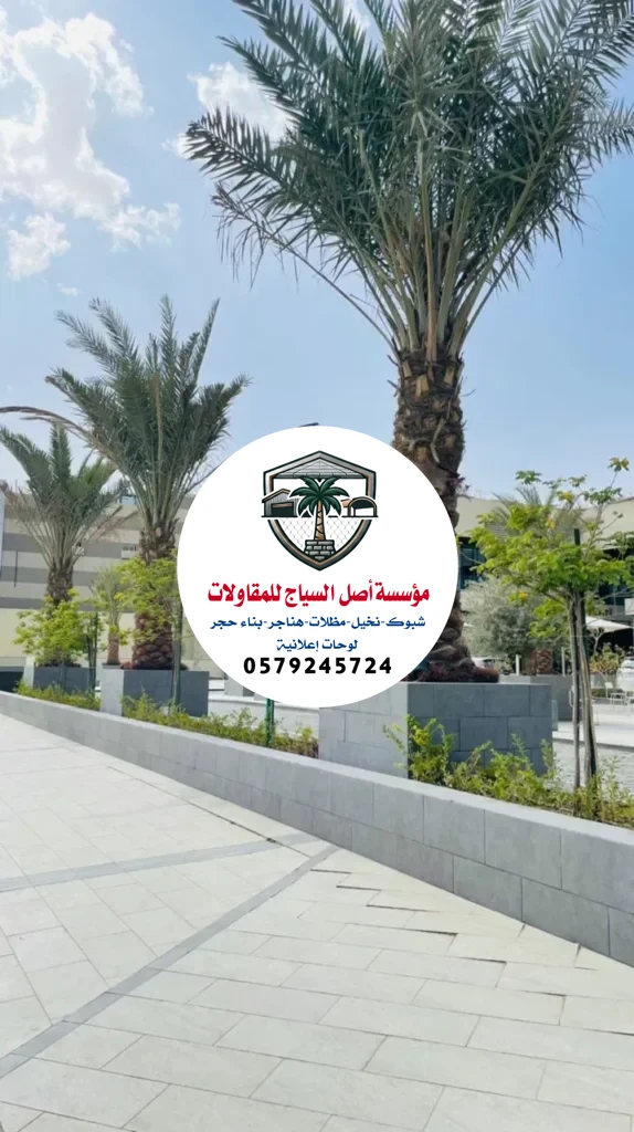 زراعة نخيل في السعودية