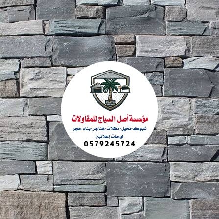 مقاول بناء الرياض